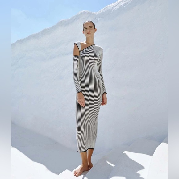 New! BAOBAB Ima Black and White Cut Out Maxi Dress 🖤 Small NWT! - Picture 4 of 16